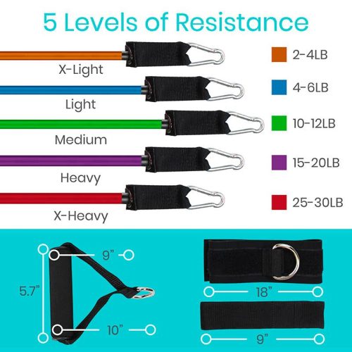 Image 3c 5 Levels of Resistance 1