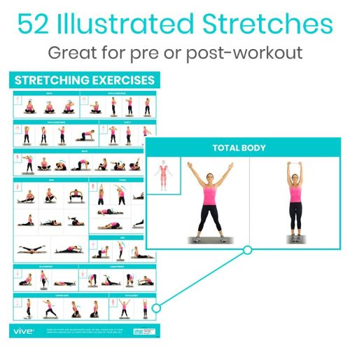 web 52 Illustrated Stretches